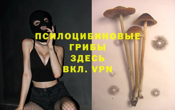 герыч Алексин