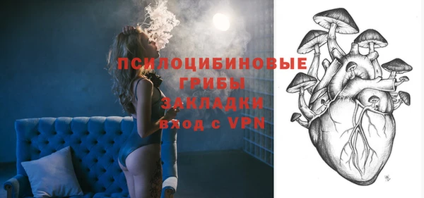 герыч Алексин