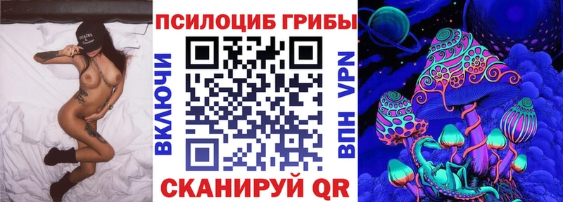 Псилоцибиновые грибы Psilocybe кракен Липки